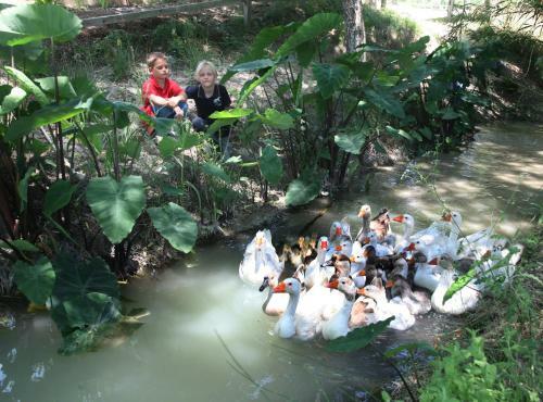 Agroturismo El Mas De Xet�