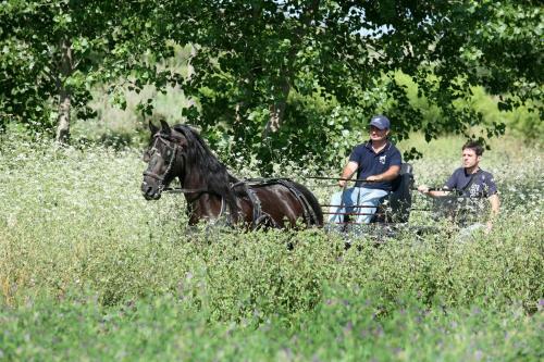 Agroturismo El Mas De Xet�