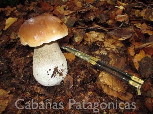 Apartamento Caba�as Patag�nicas