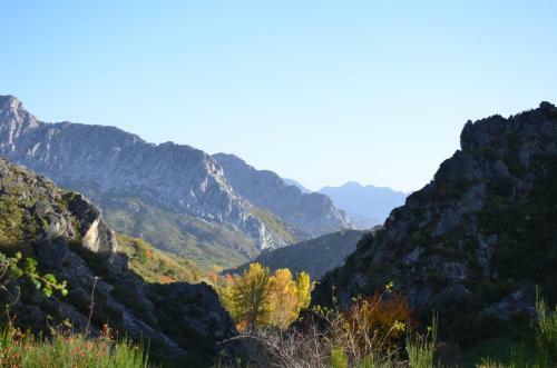 Hostal Centro De Turismo Rural Vegalion