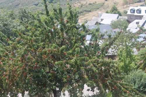 Hostal Pension Riego De Ambros