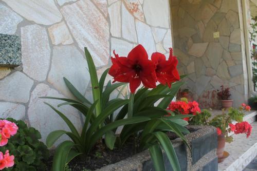 Hostal Pension Riego De Ambros