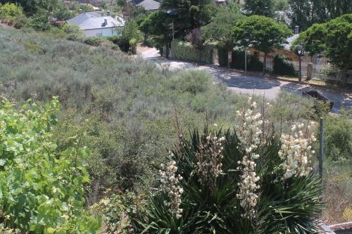 Hostal Pension Riego De Ambros