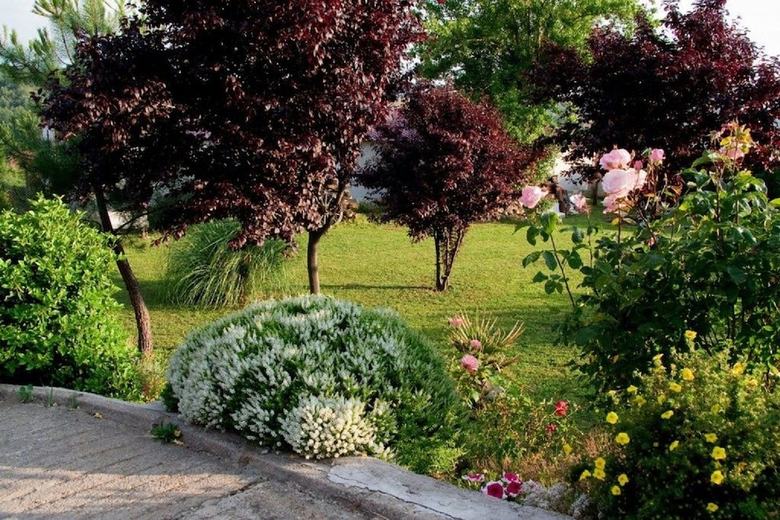 Agroturismo El Rinc�n de La Rosa 1