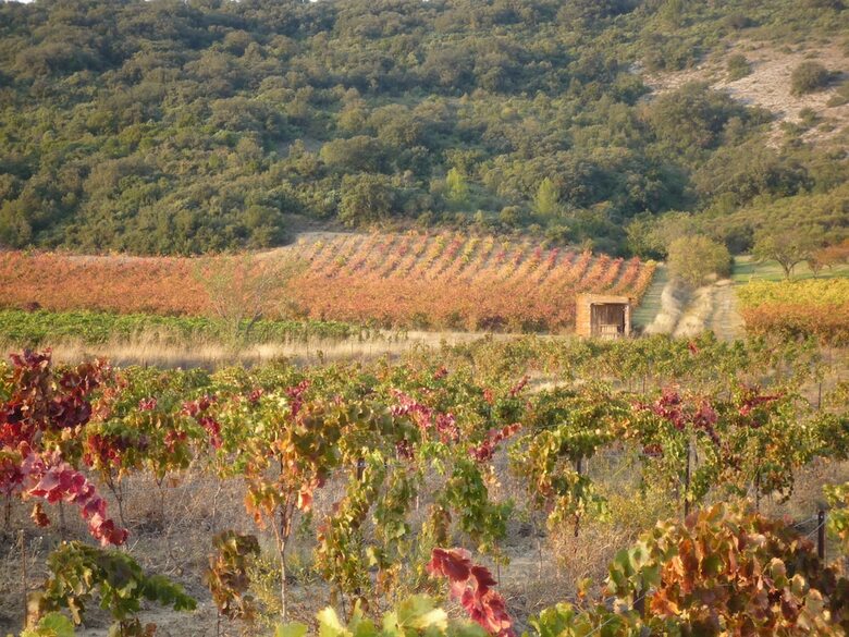 Agroturismo Le G�te Vigneron