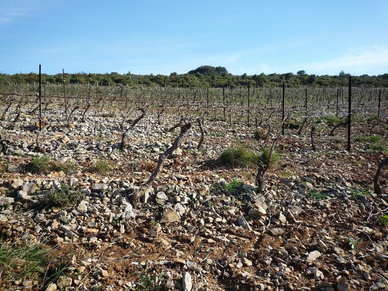 Agroturismo Le G�te Vigneron