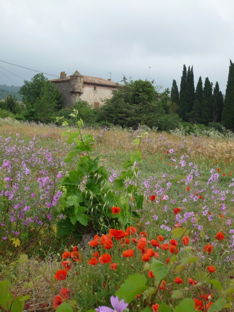 Agroturismo Le G�te Vigneron