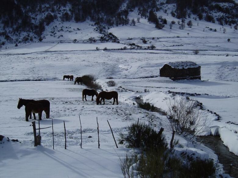 Agroturismo Casa Rural El Llao