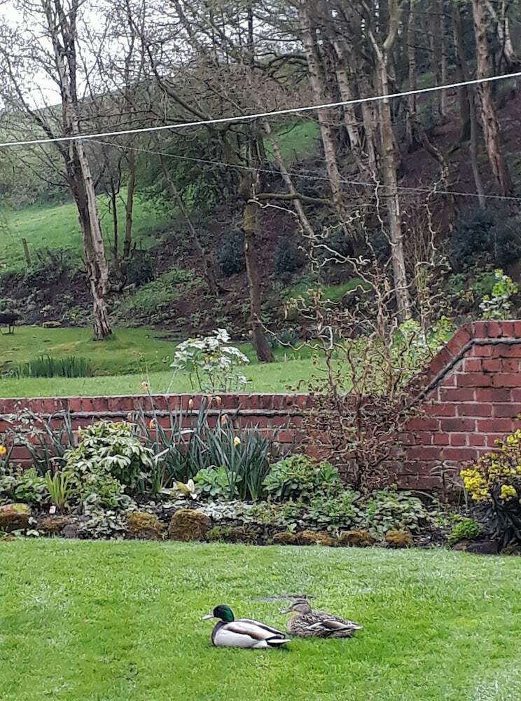 Brook House B&B And Wellness