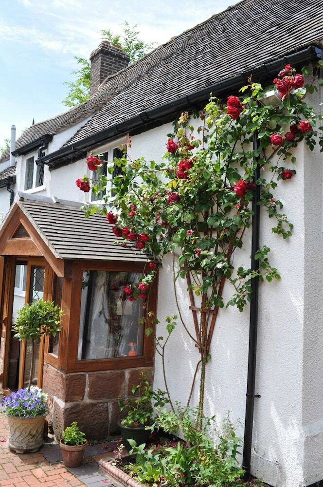Brook House B&B And Wellness