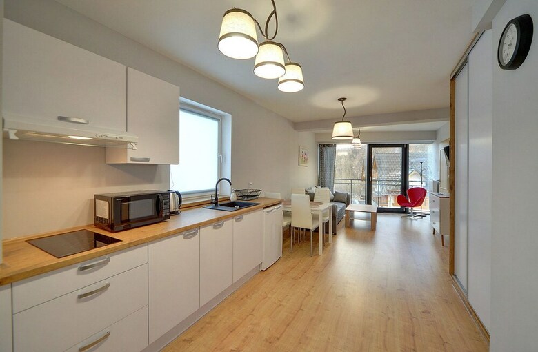 Apartament Everysky Karpacz Wilcza 3f