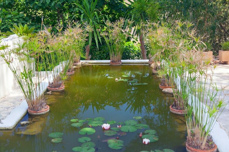 Villa Haveli House
