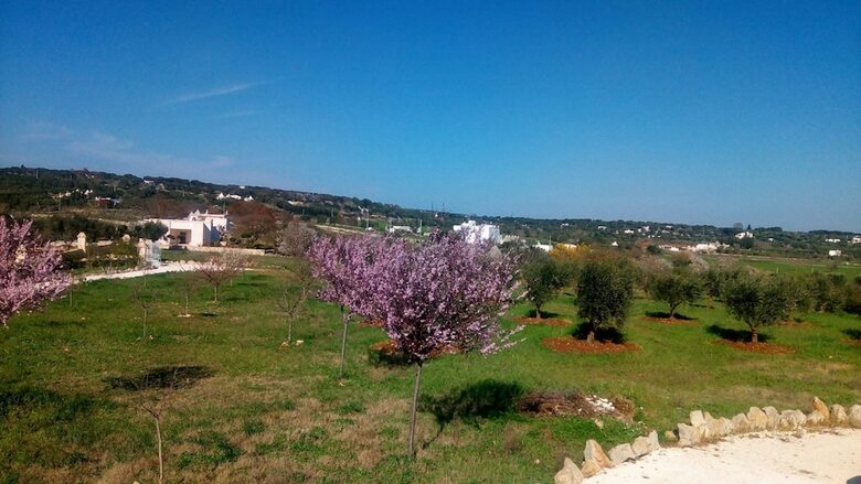 Country House Da Gi�