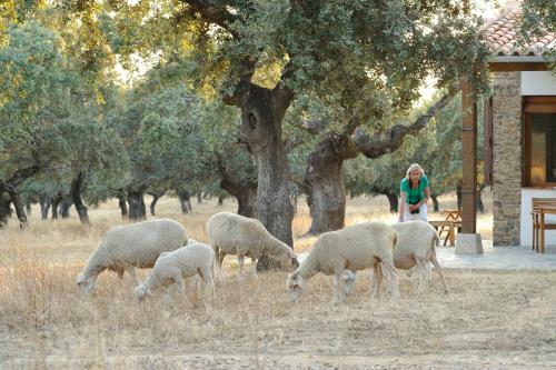 Lodge Finca Las Abubillas