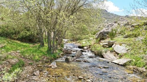 Apartamento Casas Rurales Florentino