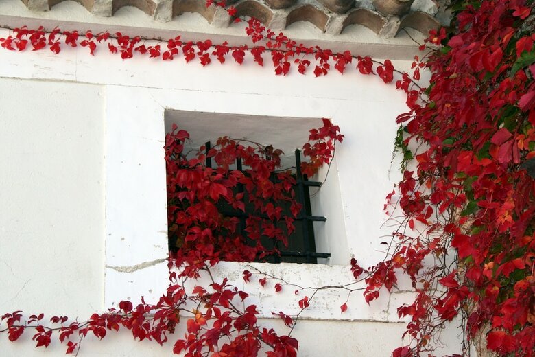 Hostal La Casona De Don Bruno