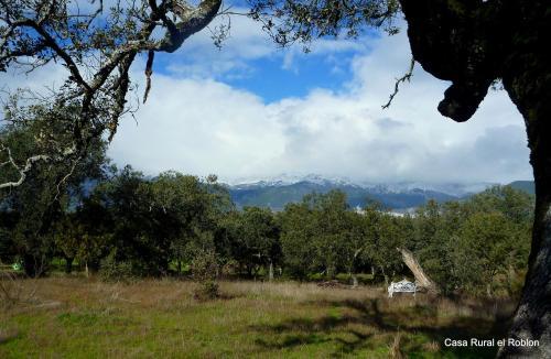 Hostal Casa Rural El Roblon