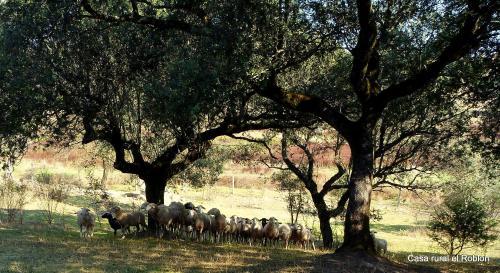 Hostal Casa Rural El Roblon