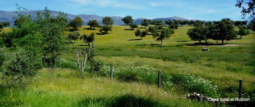 Hostal Casa Rural El Roblon