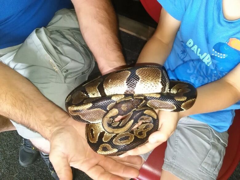 Apartamentos Rurales Casa El Caminero