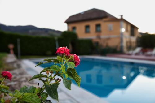 Hotel Casa Spa Hijos Dalgo