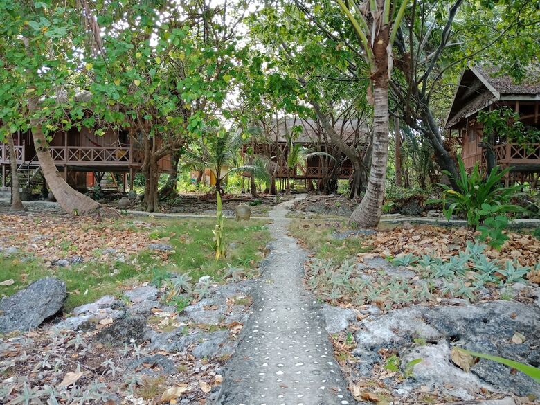Bed & Breakfast Hoga Island Dive Resort Wakatobi