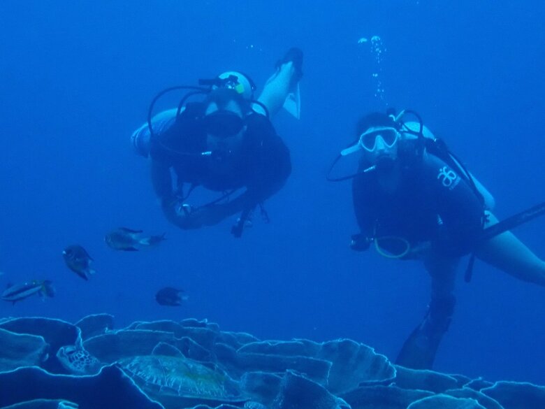 Bed & Breakfast Hoga Island Dive Resort Wakatobi