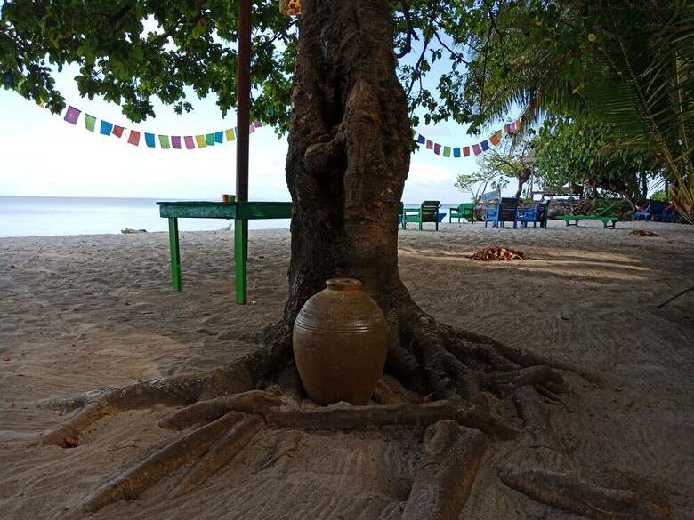Bed & Breakfast Hoga Island Dive Resort Wakatobi