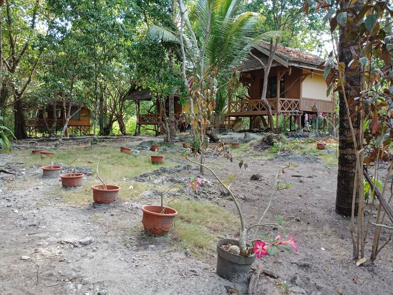 Bed & Breakfast Hoga Island Dive Resort Wakatobi