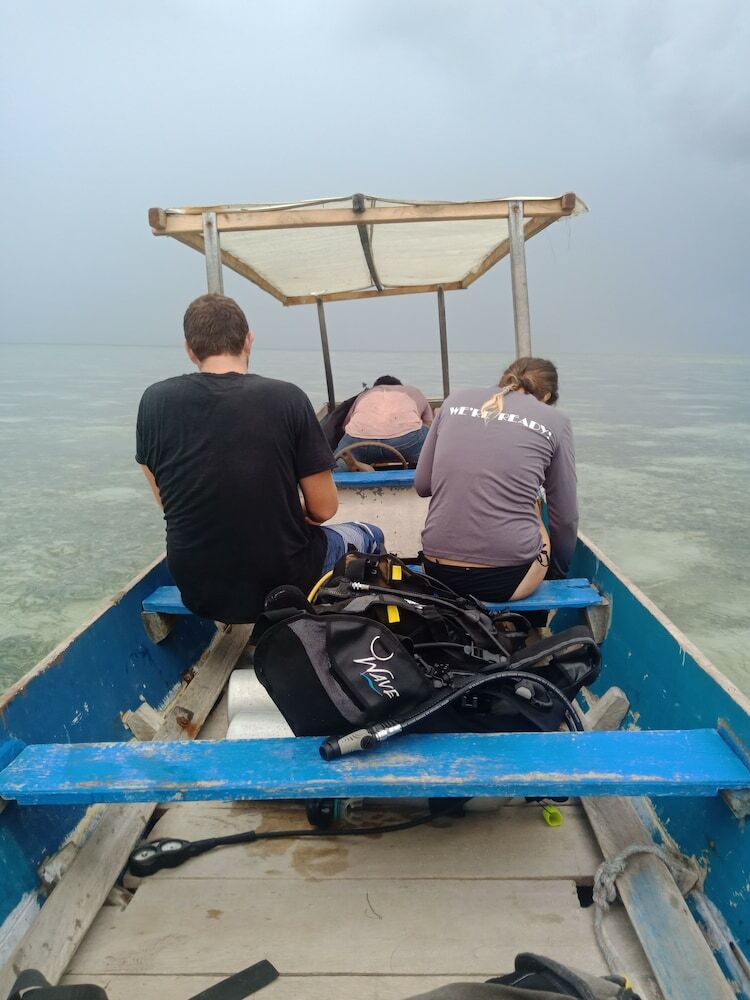 Bed & Breakfast Hoga Island Dive Resort Wakatobi