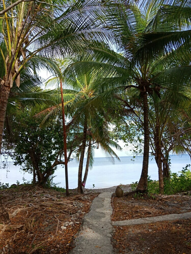 Bed & Breakfast Hoga Island Dive Resort Wakatobi