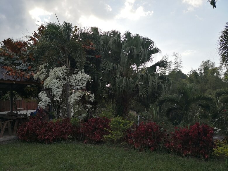 Hotel Sriwipa Hill Khao Kho
