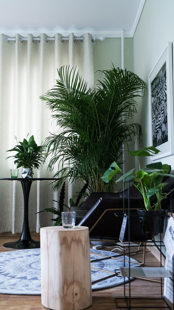 Cactus Space- Sanlitun Artistic Elegance Apartment