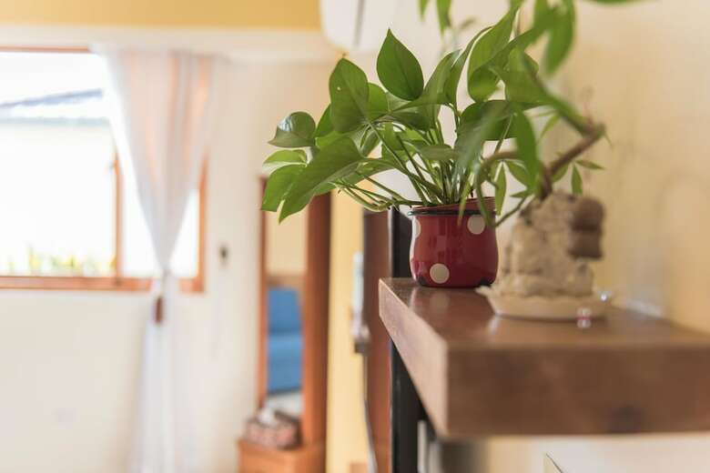 Bed & Breakfast Xinfu Traveler Inn