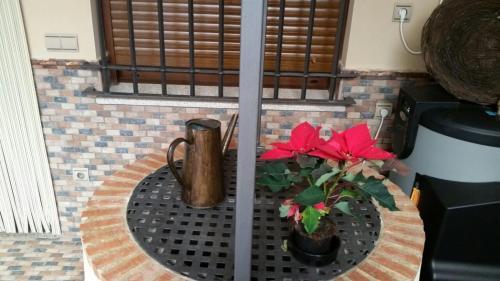 Apartamento Los Toneles