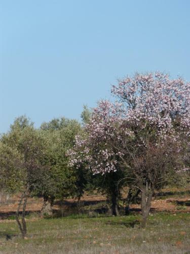 Hostal Alojamiento Rural Don Tello De Almod�var