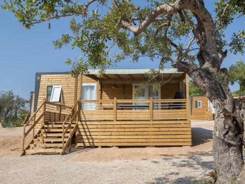 Camping L'orangeraie