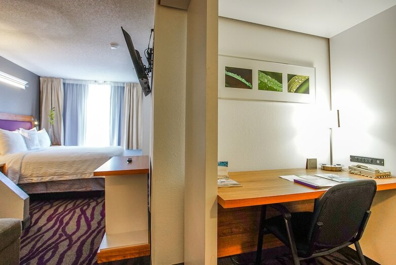 Hotel Springhill Suites By Marriott Savannah Midtown