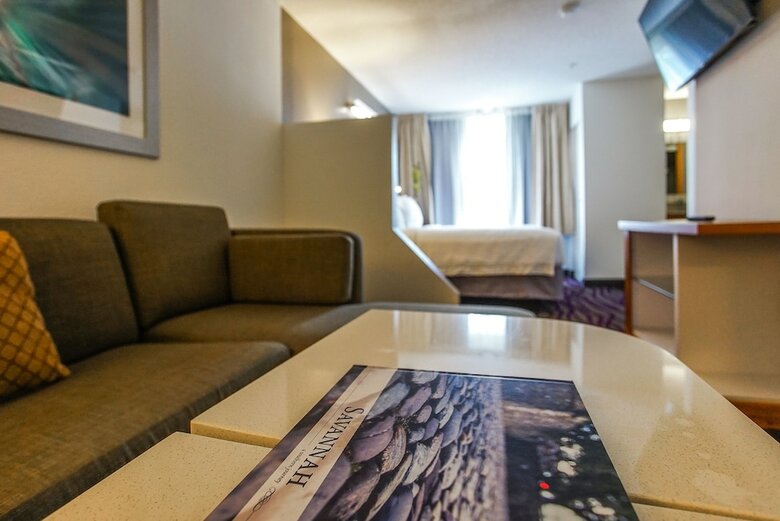 Hotel Springhill Suites By Marriott Savannah Midtown