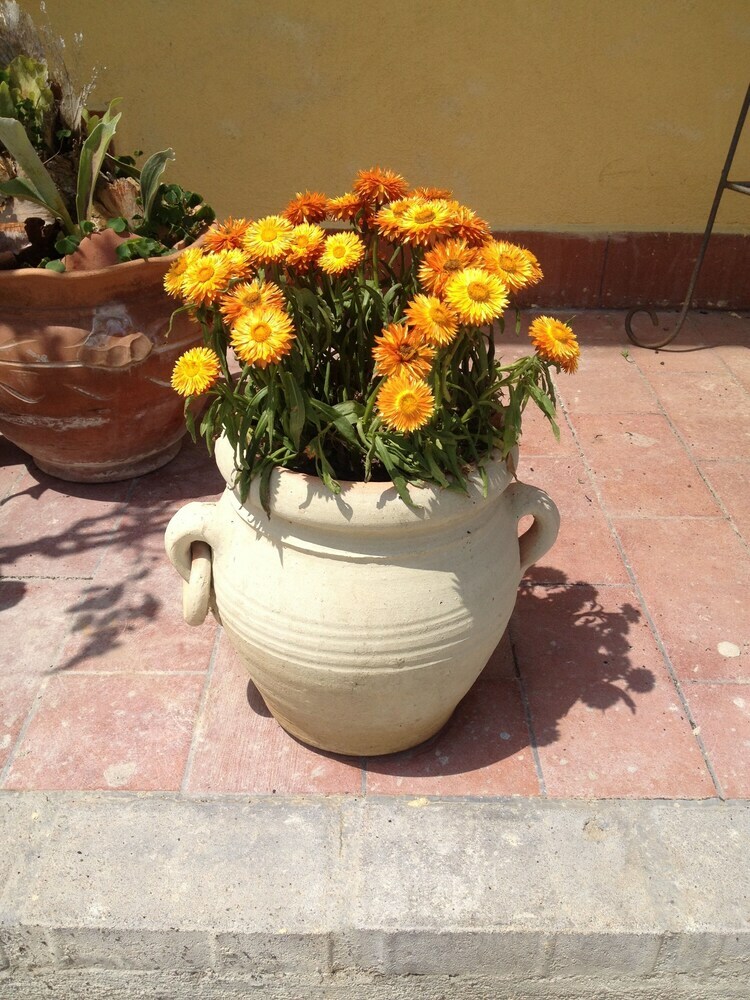 B&B Il Giardino Sul Mare