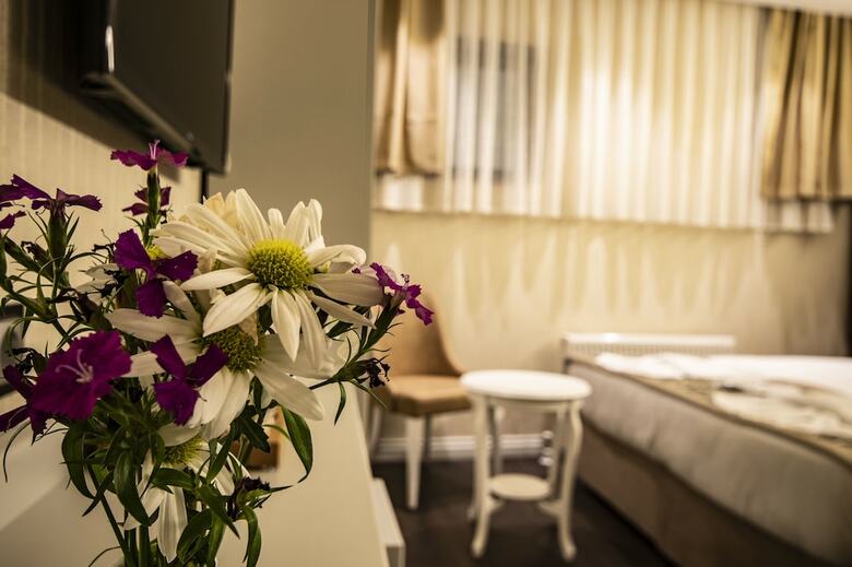 Hotel Pruva Otel