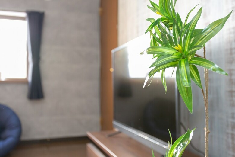 Apartamentos Uhome Tengachaya Villa