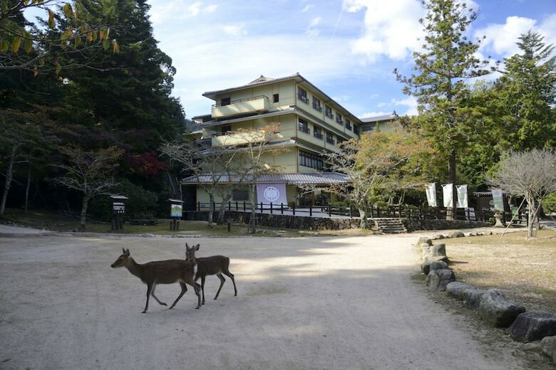 Hotel Miyajima Morinoyado Inn