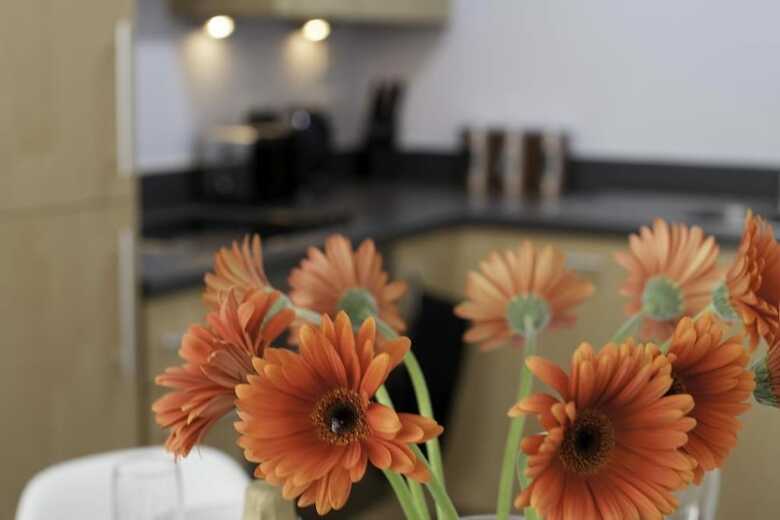 Apartamentos Alexandra House