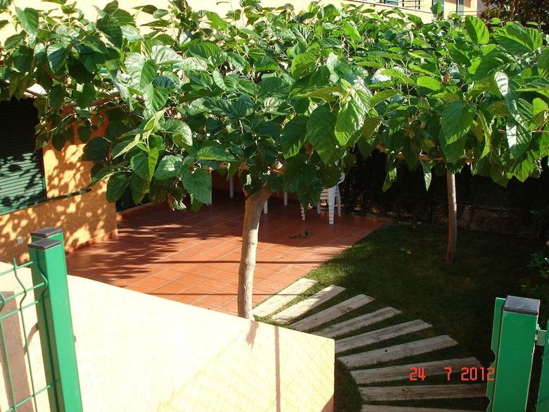 Apartamentos Bonito Bajo Marina Sant Jordi