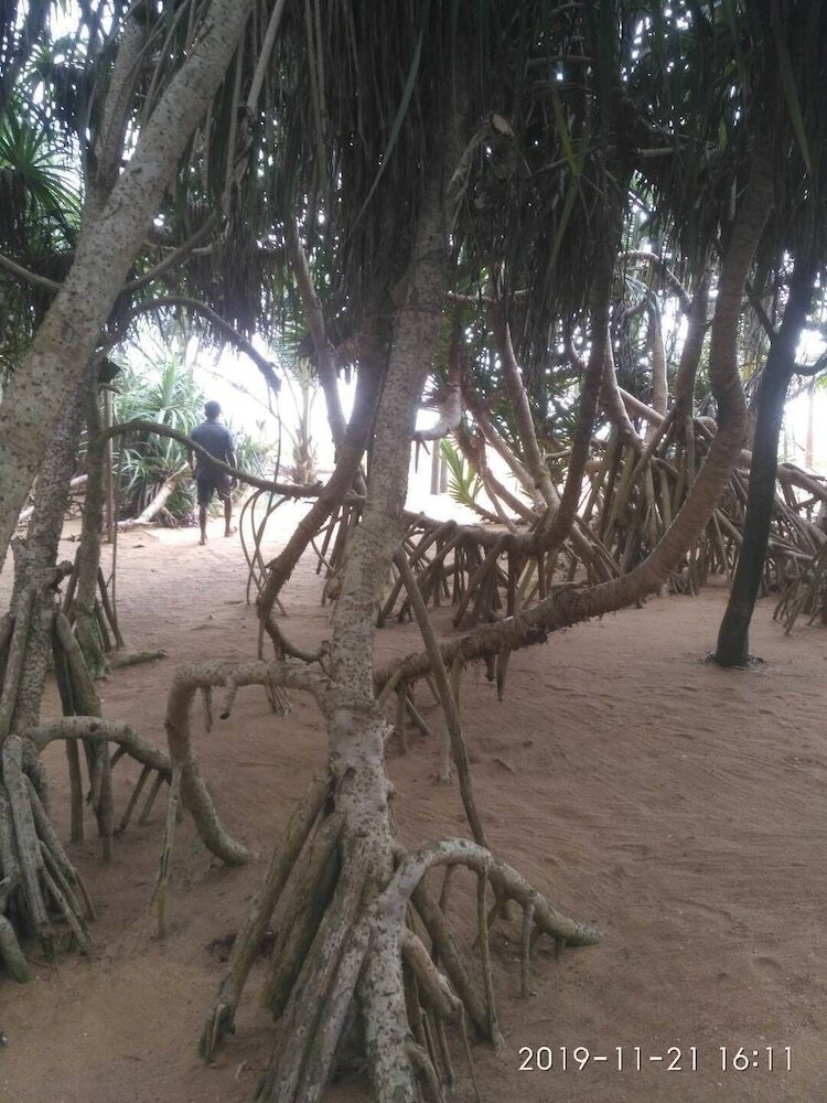 Hotel Ravana Beach Cabanas