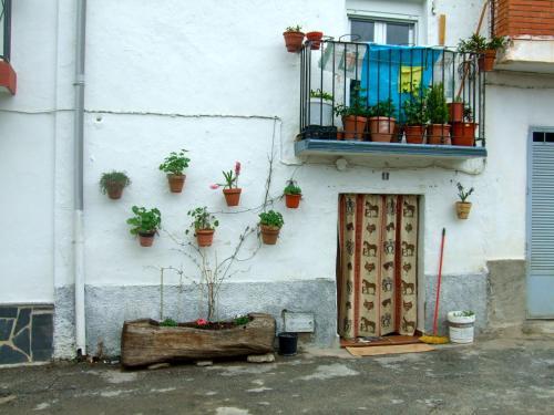 Apartamento Alojamiento Rural Sierra De Jerez