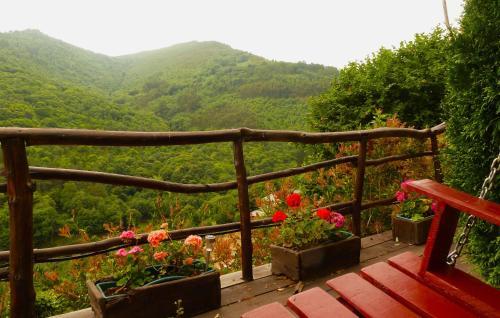 Apartamentos Rurales El Bosque De Las Vi�as