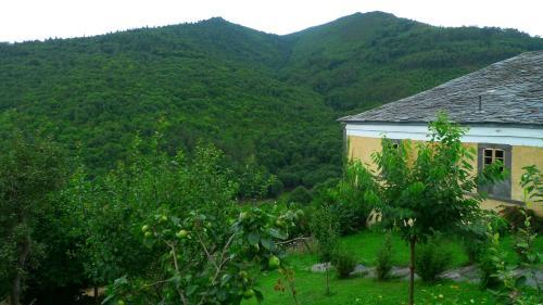 Apartamentos Rurales El Bosque De Las Vi�as