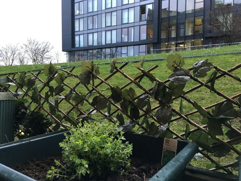 Luxury Apartment-quartermile
